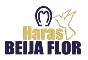 Haras Beija Flor |